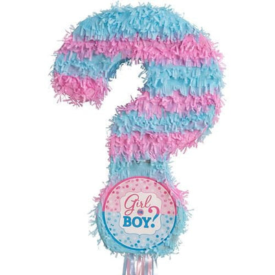 Its A Boy Girl Gender Reveal Party Party Piñata
